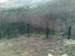 08042010(001)..jpg