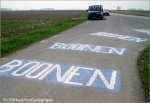 rbx07pave-boonen3&.jpg