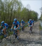 rbx07pave-arenber&.jpg