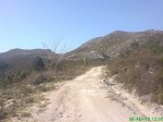 DSC01940..JPG