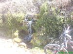 DSC01955..JPG