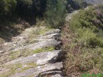 DSC01983..JPG