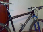 05042010296..jpg