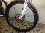 delantera1 (Mediu.jpg