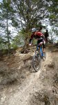 P1060684..jpg