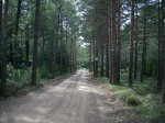 DSCN1957..jpg