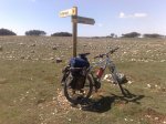 080420101231..jpg
