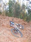 DSCF7803..JPG
