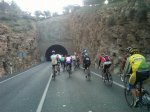 IMG00092-20100403-0&.jpg
