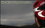 Buitres..jpg