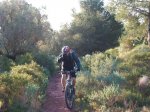 gilet 2010 001..jpg