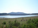 DSC00295..jpg