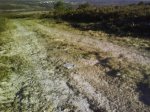 DSC00312..jpg