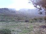 DSC00194..jpg
