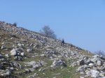 P4110701..jpg