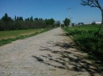 Foto0027..jpg