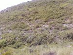 Fotos-0005..jpg