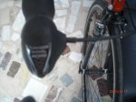 Imagen 061..jpg