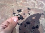 11042010039..jpg