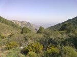 10042010013..jpg