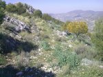 10042010022..jpg