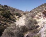 Fotos-0017re2..jpg