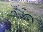 11042010050..jpg