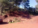 P100410_10.19..jpg