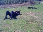 DSC00104..jpg