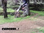 CHINORRI..jpg
