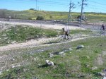 DSCN0495..jpg