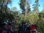 penya ciclista 02&#.jpg