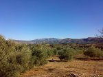 Entre Montefrio &#12.jpg