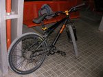 GT Chucker 2.0 (4)&.jpg