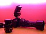 CANON..jpg