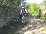 IMG_1959..jpg