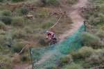 IMG_4084..jpg