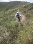 IMG_3368..jpg