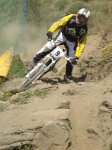 IMG_3343..jpg
