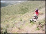 IMG_0083..jpg