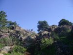 vicis parque 019..jpg