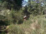 vicis parque 022..jpg