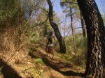vicis parque 034..jpg