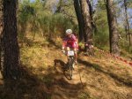 vicis parque 031..jpg