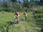 vicis parque 049..jpg
