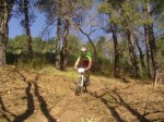 vicis parque 039..jpg