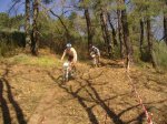 vicis parque 038..jpg