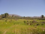 vicis parque 067..jpg