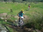 vicis parque 059..jpg