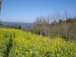 DSC00002.jpg